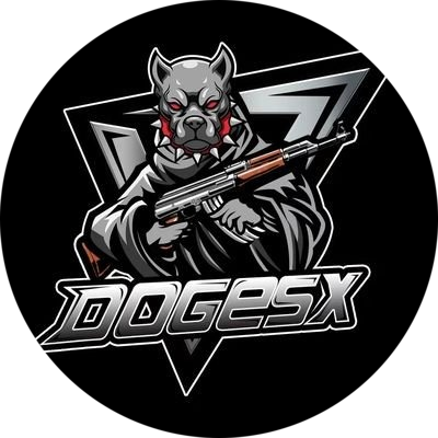 Doge SpaceX